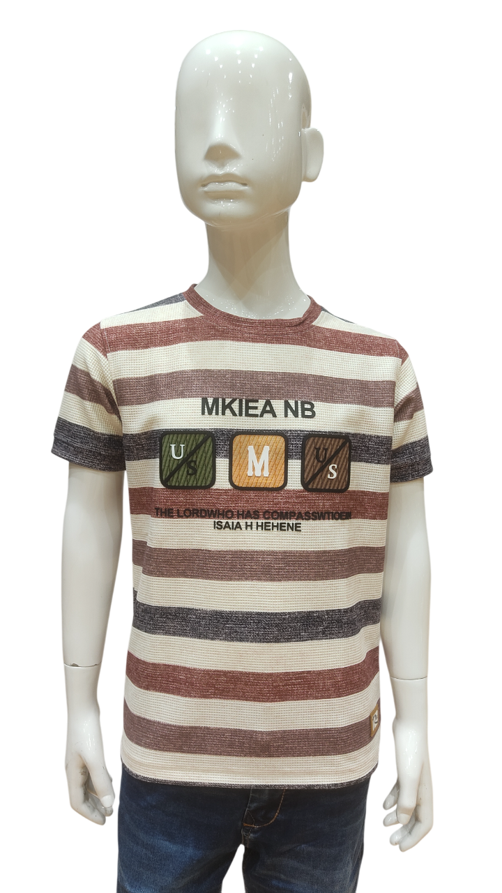Boys Rust Half Sleeve Striped Fancy T-Shirt