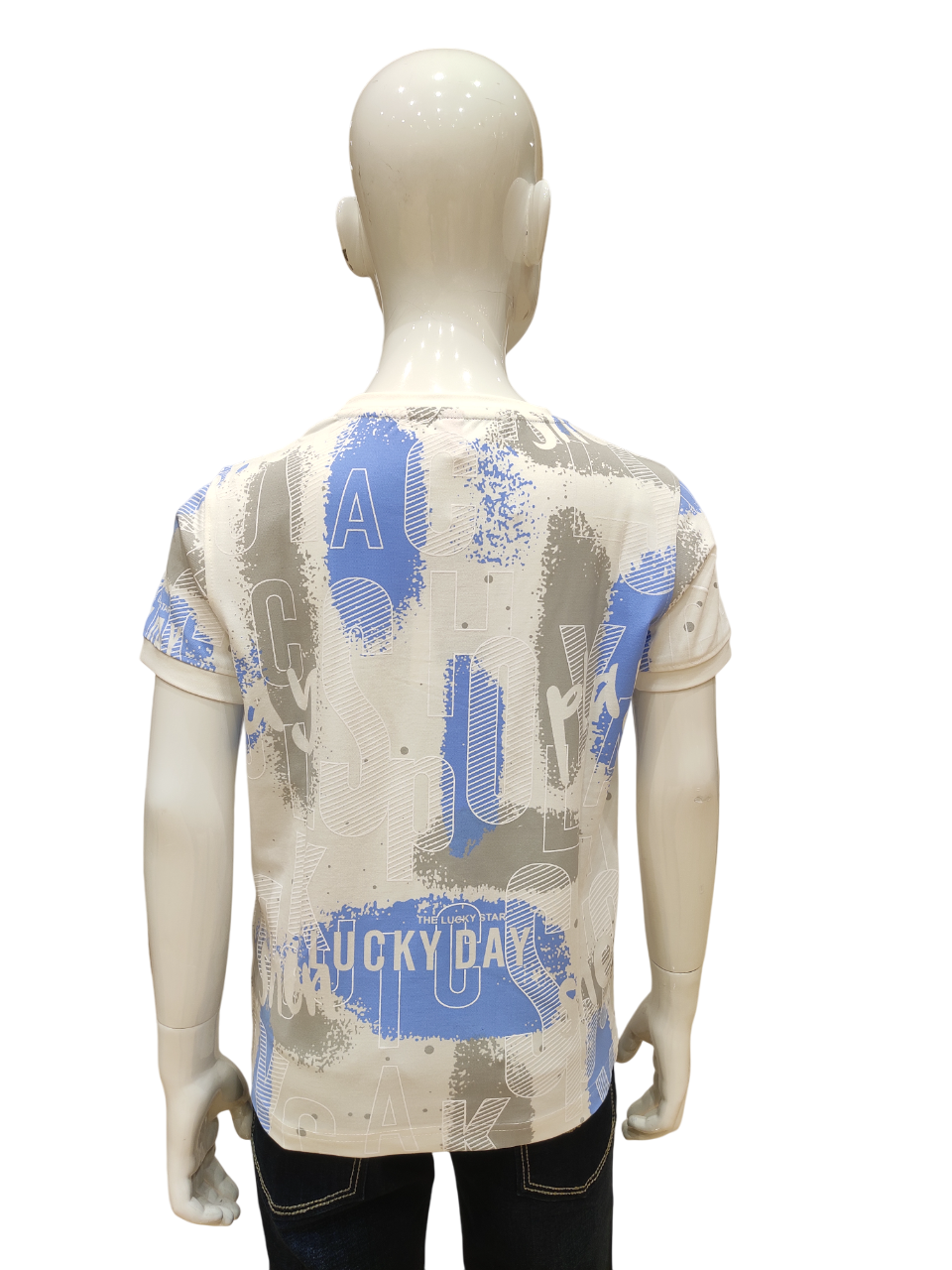 Boys Sky Blue Round Neck Half Sleeve Fancy Printed T-Shirt