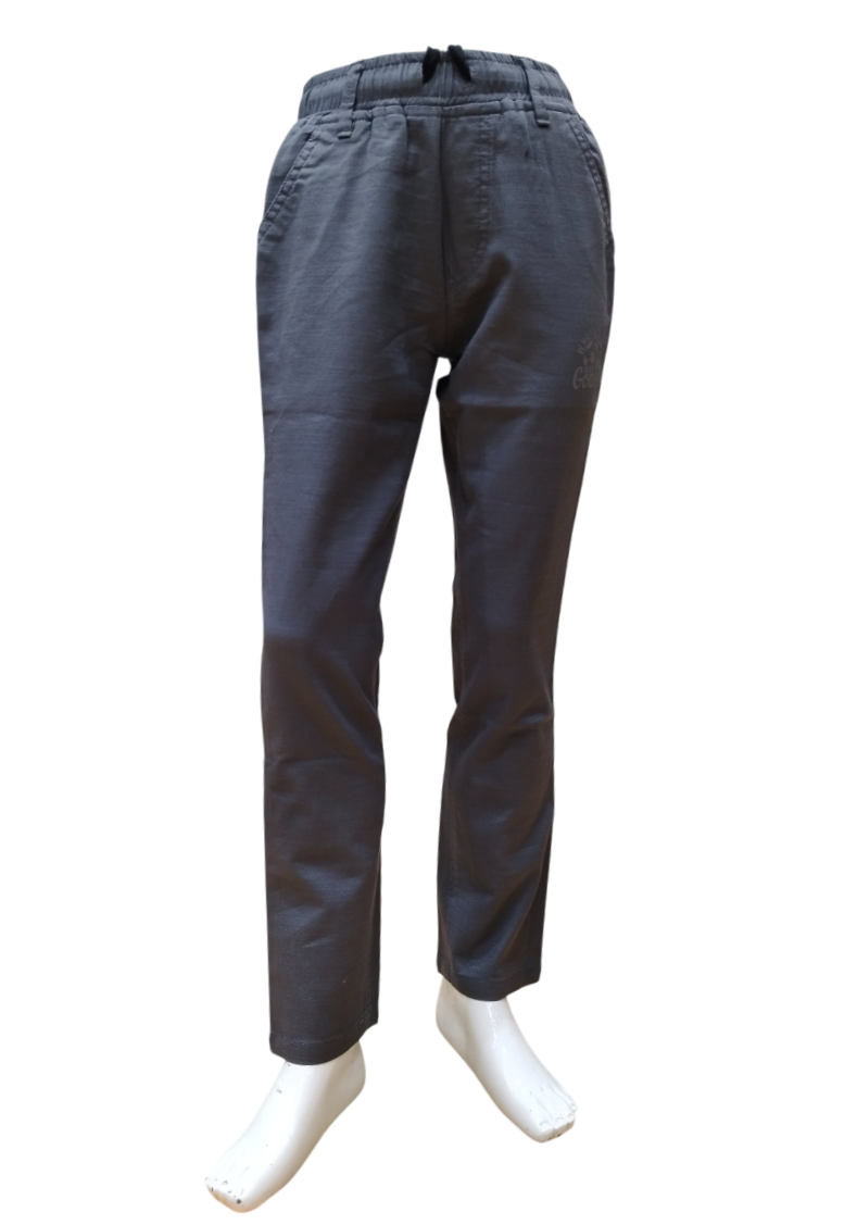 Boys Grey Elastic Waist Fancy Full Pant