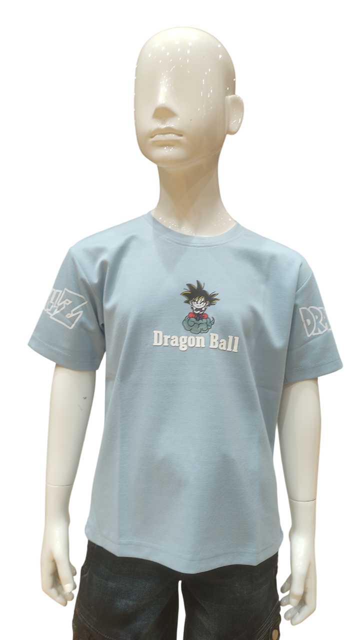 Boys Sky Blue Half Sleeve Printed Fancy T-Shirt