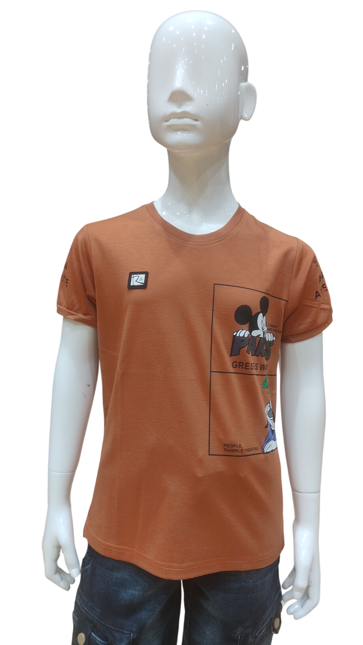 Boys Rust Half Sleeve Printed Fancy T-Shirt