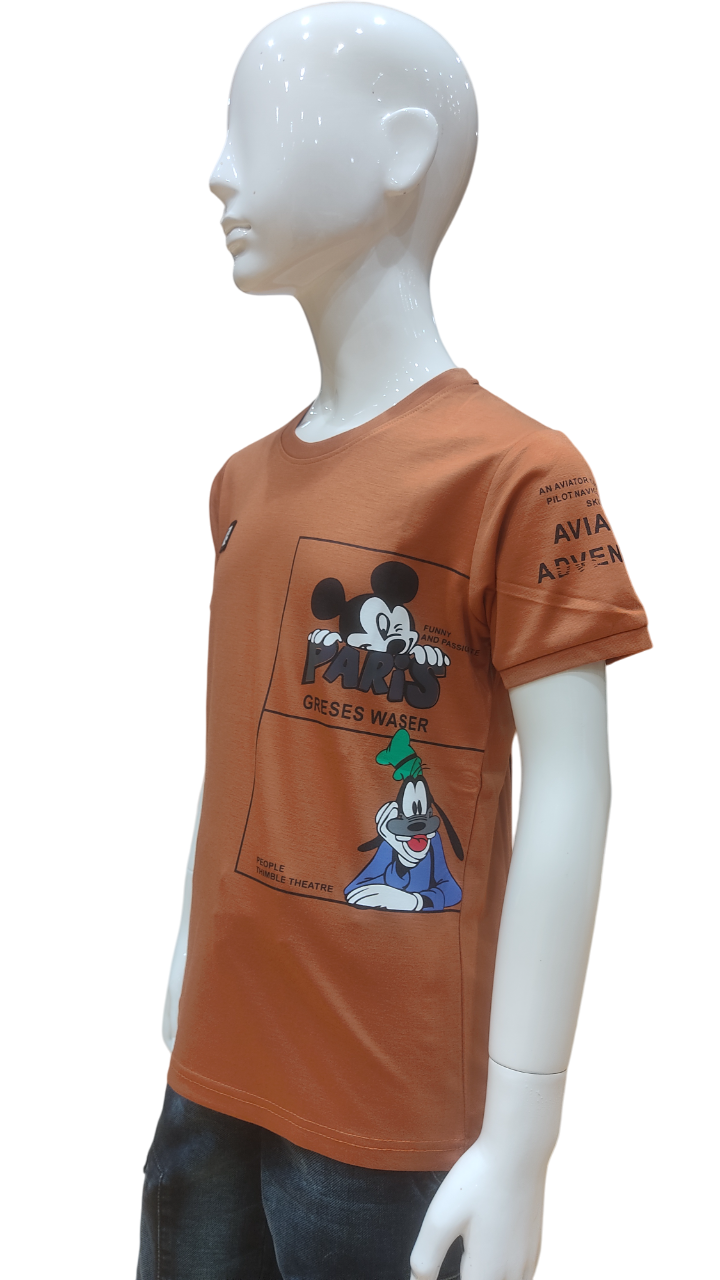 Boys Rust Half Sleeve Printed Fancy T-Shirt