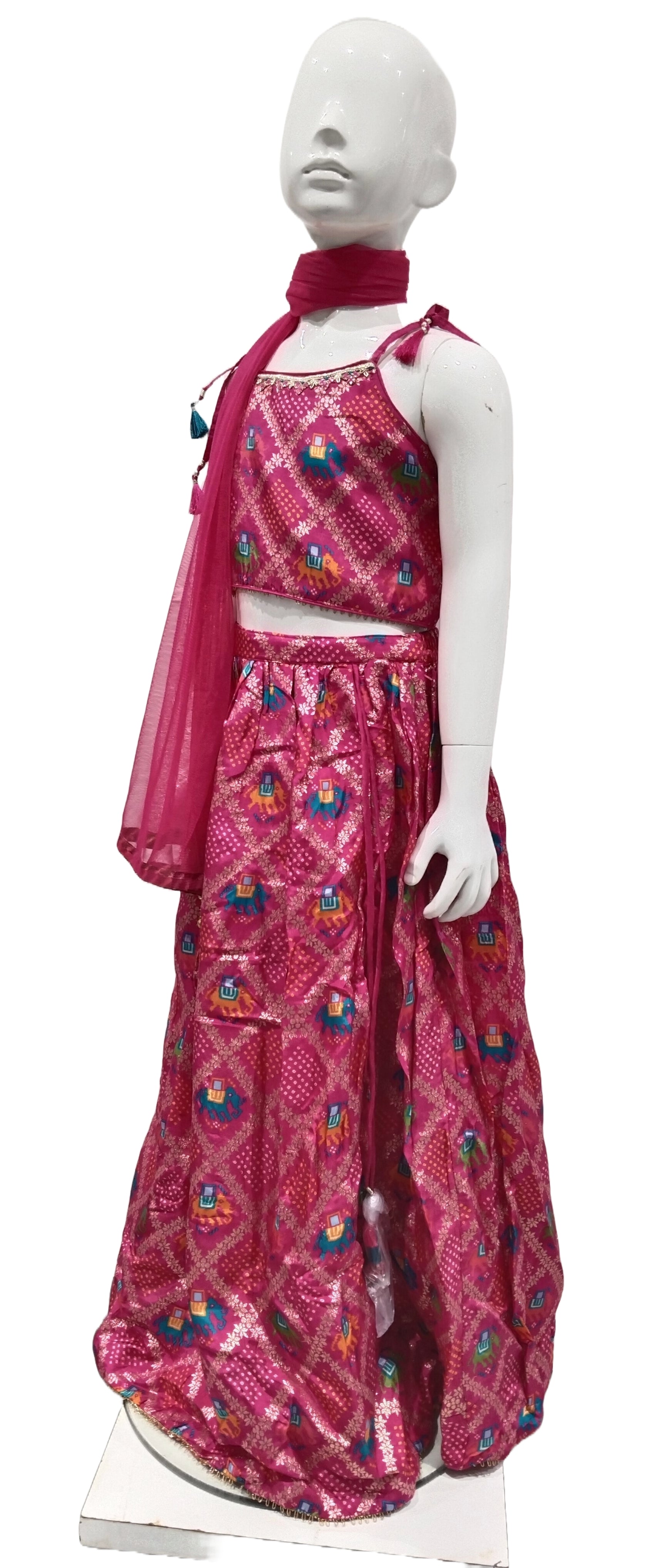 Girls Rani Ethnic Cholee Suit With Dupatta