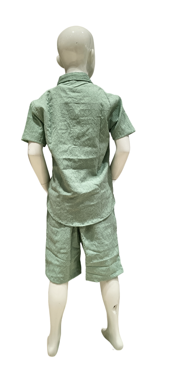 Boys Menta Half Sleeve Shirt With Shorts Co-Ord Set