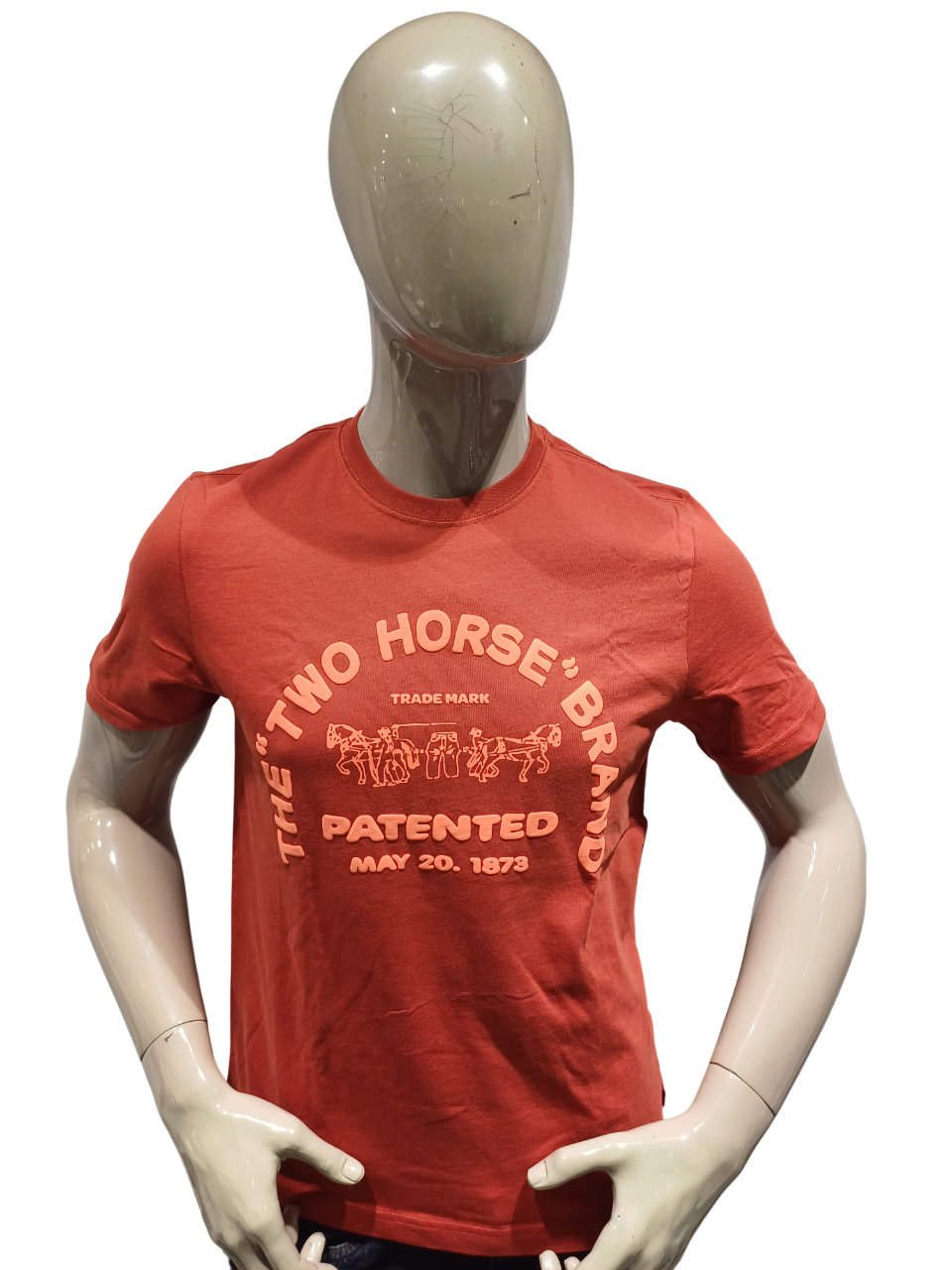 Mens Rust Half Sleeve Round Neck Fancy T-Shirt