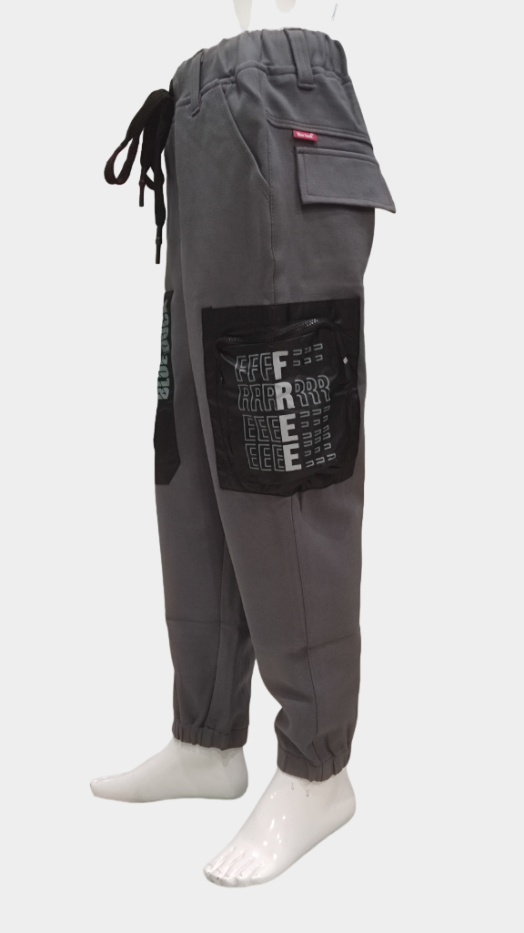 Boys Grey Elastic Waist Fancy Cargo Pant