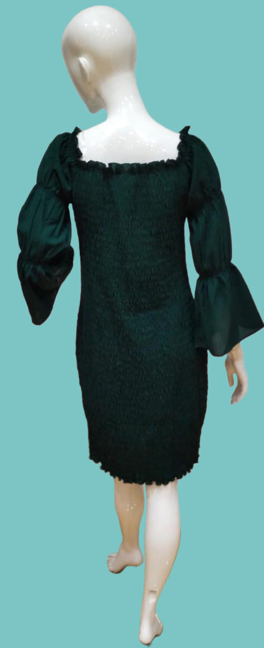 Women Green Regular Fit Fancy Full Sleeve Midi Dress